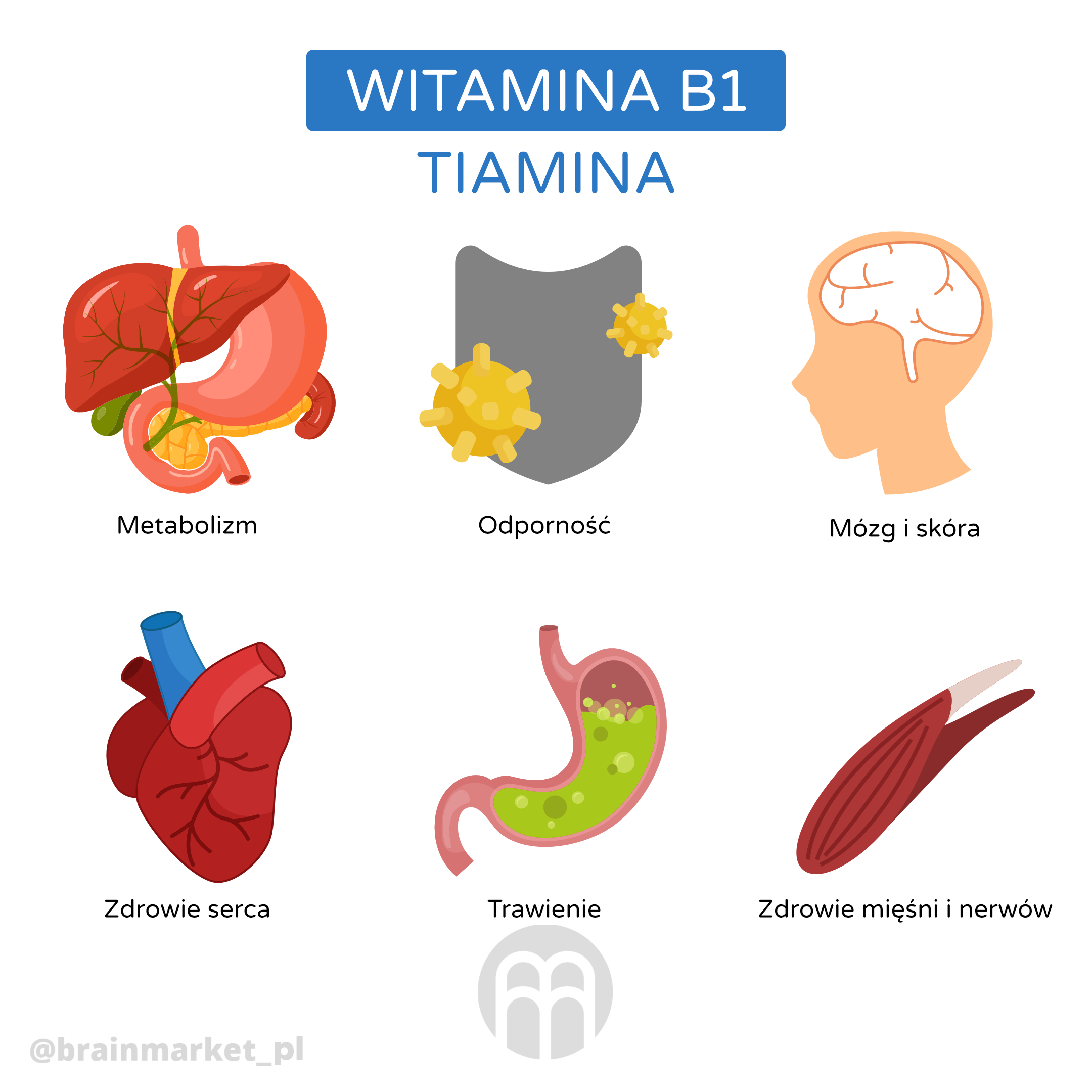 VitaminB1_infografika_pl